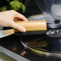 Brosse Antistatique