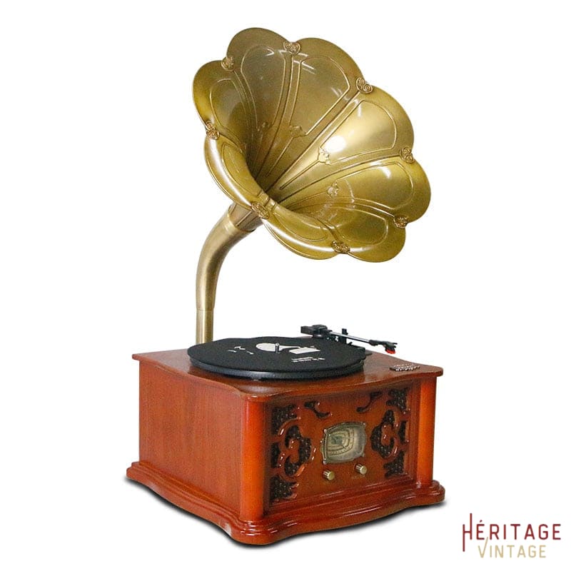Quand changer l'aiguille de mon tourne-disque ? – Heritage Vintage™