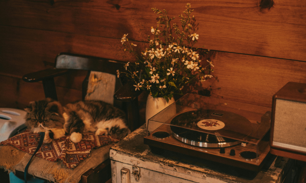 Pourquoi investir dans un couvre-plateau pour platine vinyle ?