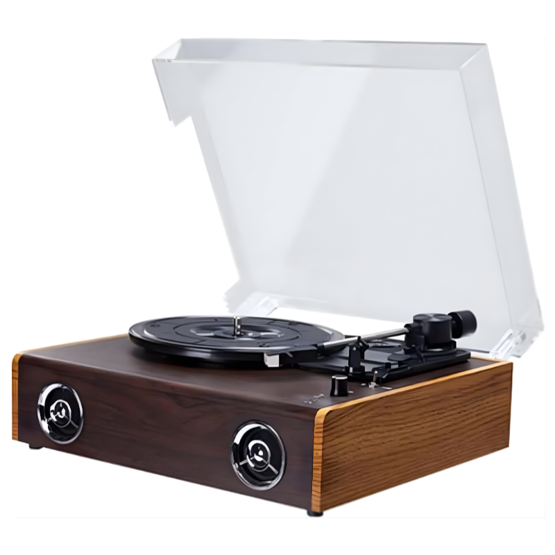 Tourne Disque Vinyle In & Out