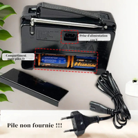 Petite Radio Vintage Noir