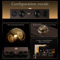 Enceinte Vintage Multimédia