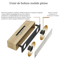 Enceinte Design Vintage