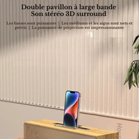 Enceinte Design Vintage