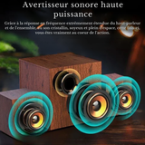Enceinte Anglaise Vintage