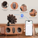 Radio Bluetooth Vintage Sans Fil