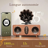 Radio Bluetooth Vintage Sans Fil