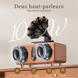 Radio Bluetooth Vintage Sans Fil