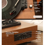 Tourne Disque Vintage Marron