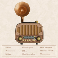 Radio Vintage Am et Fm Imitation Bois
