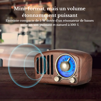 Mini Radio Vintage Rétro Avec Bluetooth
