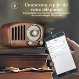 Mini Radio Vintage Rétro Avec Bluetooth