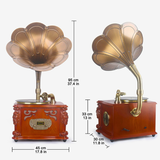 Gramophone avec Pavillon en Cuivre