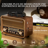 Radio Numerique Vintage