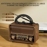 Radio Numerique Vintage