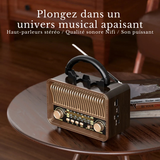 Radio Numerique Vintage