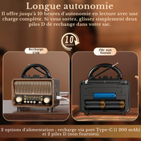 Radio Numerique Vintage