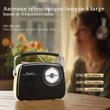 Radio Vintage Noir