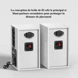 Enceinte Rca Platine Vinyle