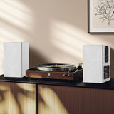 Enceinte Rca Platine Vinyle