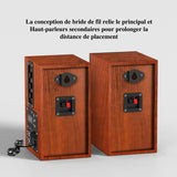 Enceinte Rca Platine Vinyle
