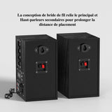 Enceinte Rca Platine Vinyle