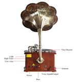 Gramophone Pavillon en Cuivre Pur
