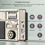 Radio Vintage Analogique