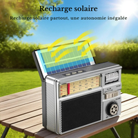 Radio Vintage Analogique