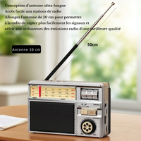 Radio Vintage Analogique