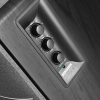 Enceinte Active Pour Platine Vinyle