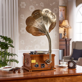 Gramophone Haut de Gamme
