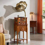 Gramophone avec Lecteur CD