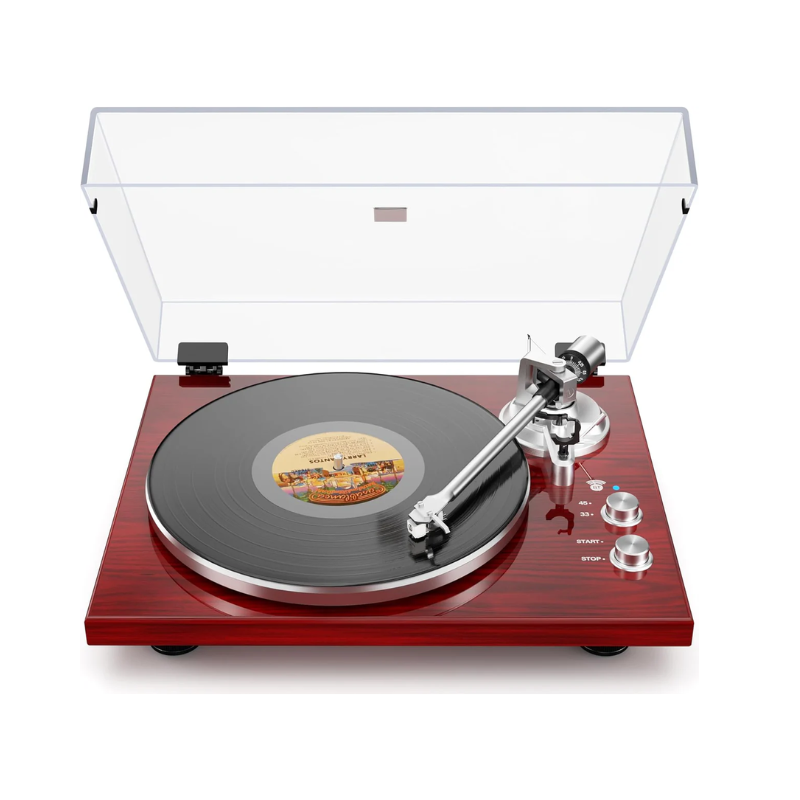 Platine Vinyle Style Vintage