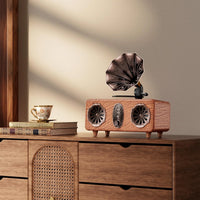 Radio Bluetooth Vintage Sans Fil