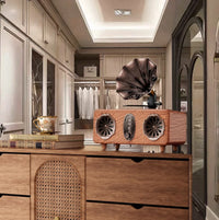 Radio Bluetooth Vintage Sans Fil