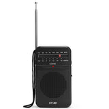 Mini Radio Vintage à Piles