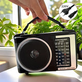 Petite Radio Vintage Noir