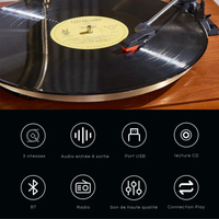 Gramophone Haut de Gamme