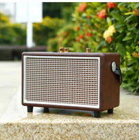 Enceinte Cuir Vintage Marron