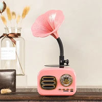 Enceinte Radio Vintage Rose