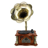 Gramophone USB