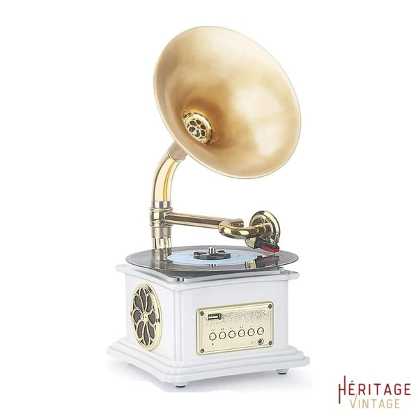 Comment réparer un disque vinyle déformé ? – Heritage Vintage™