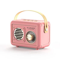 Radio Vintage Retro rose