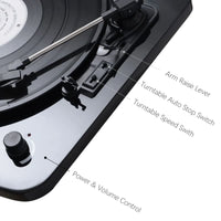 Tourne Disque Vinyle Avec Enceinte